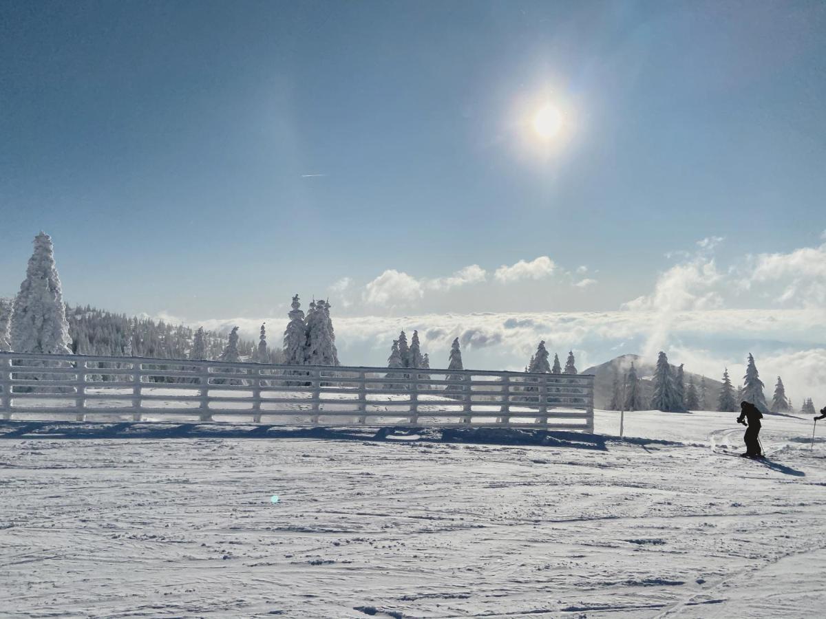 Teddy Apartman Kula Konaci Kopaonik Buitenkant foto